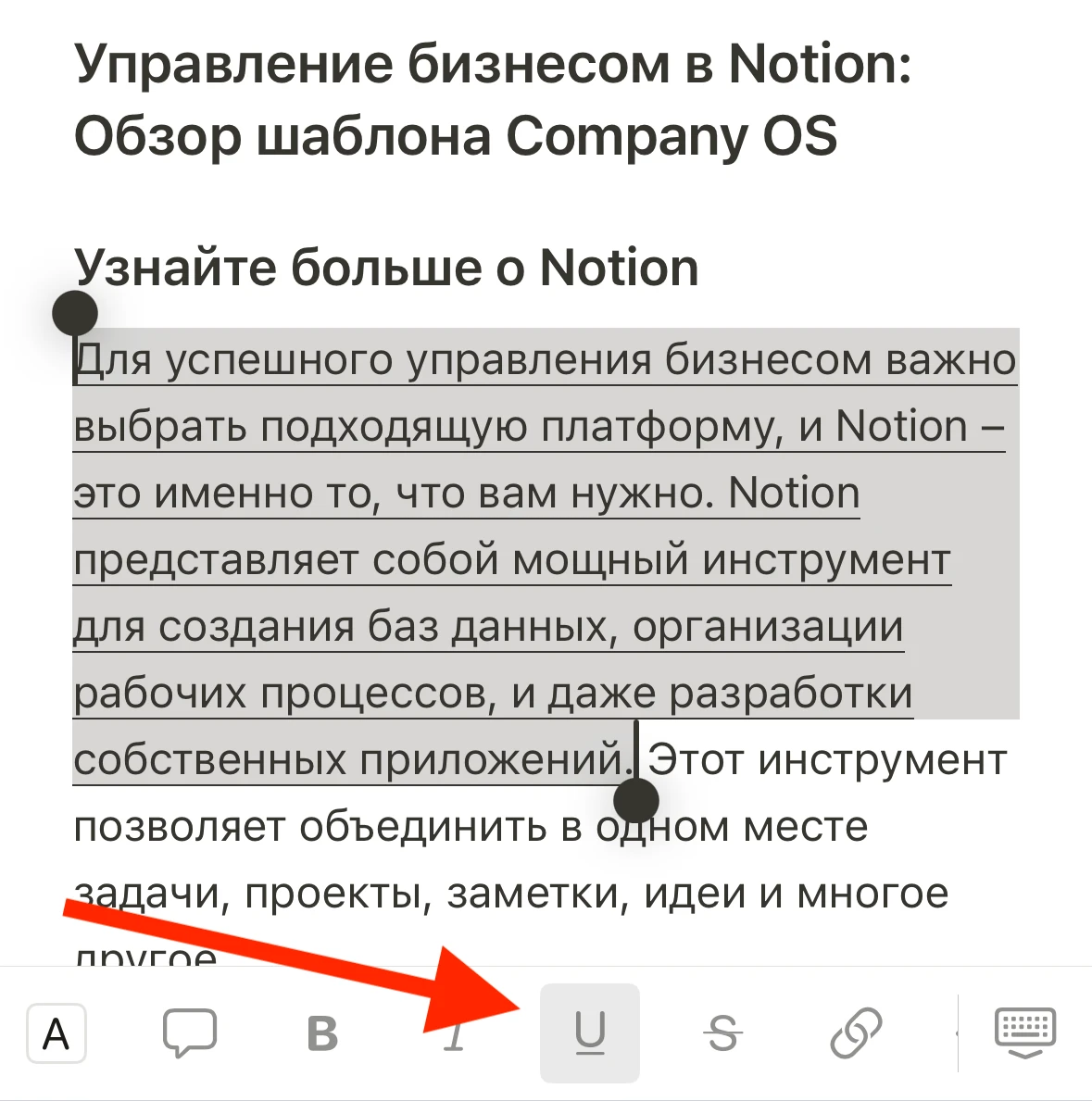 Как подчеркнуть текст в Notion Mobile (Android/iPhone)